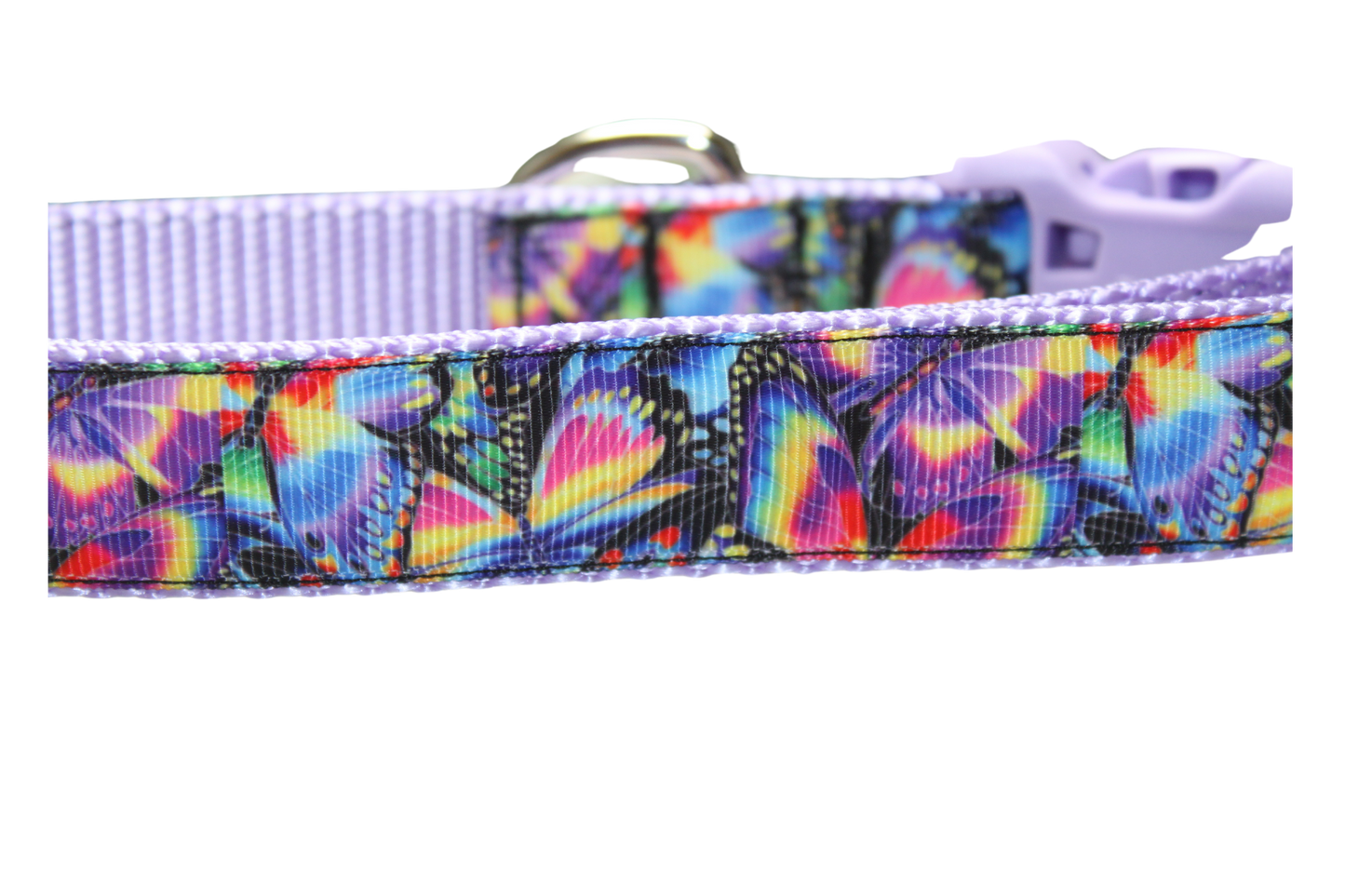 Rainbow Butterfly Collar