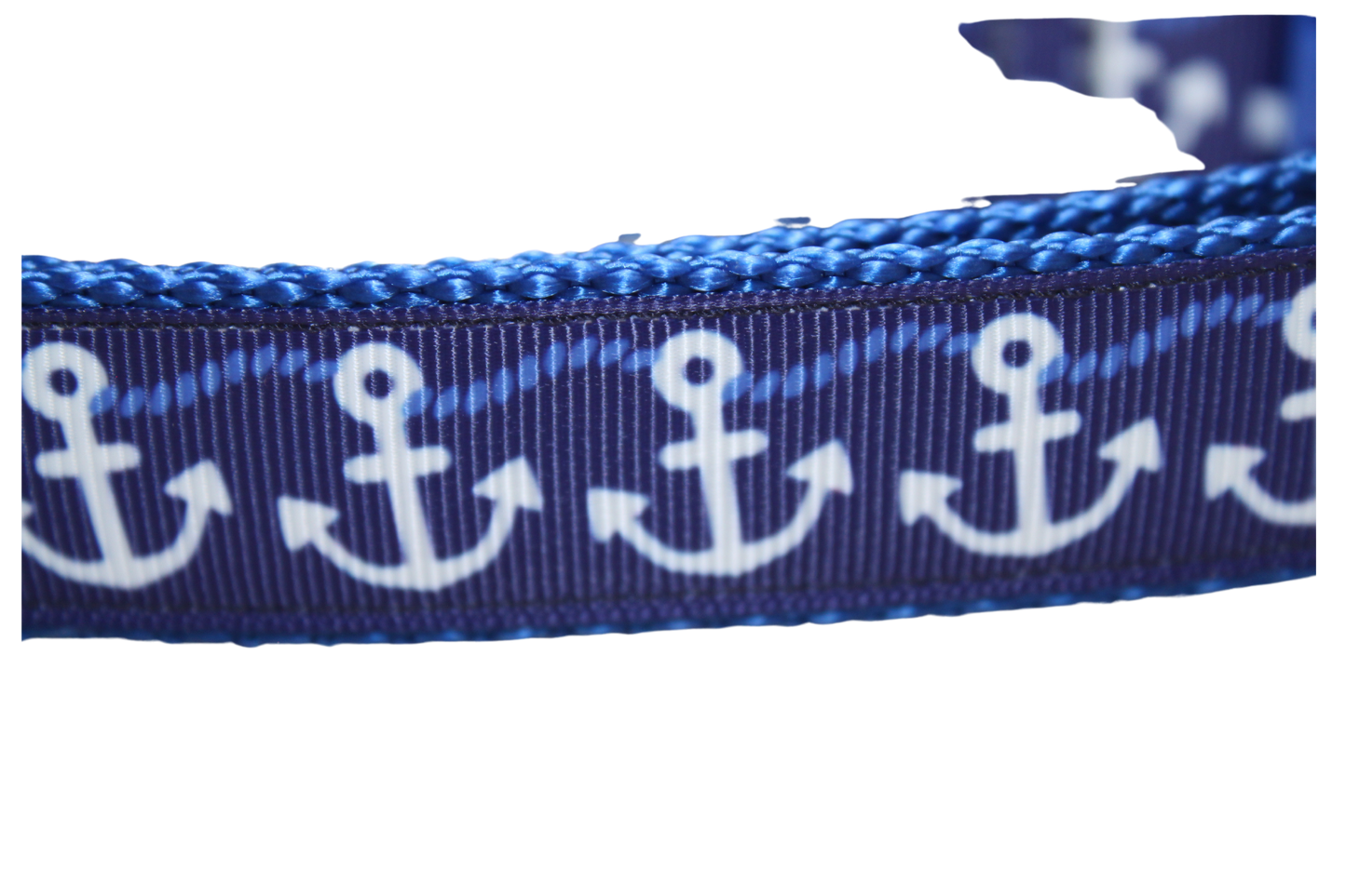 Blue Anchors