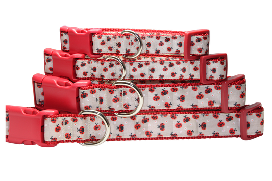 Red Ladybugs Dog Collar