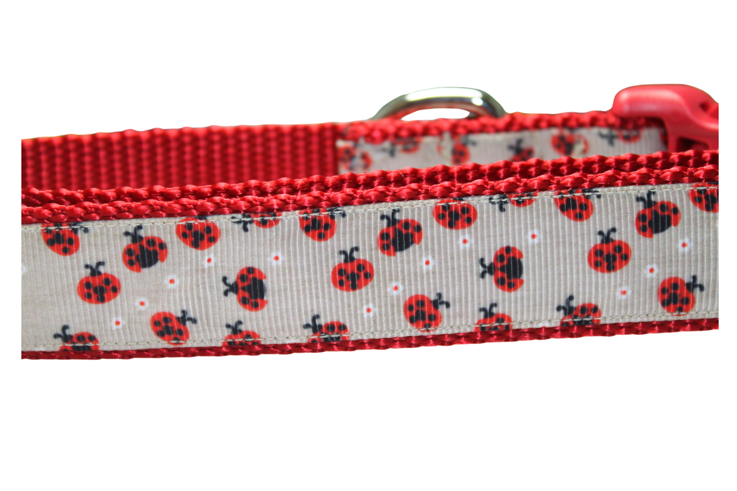 Red Ladybugs Dog Collar